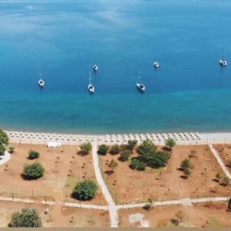 Ceylanhouse-3 Apartman Dalaman Kültér fotó