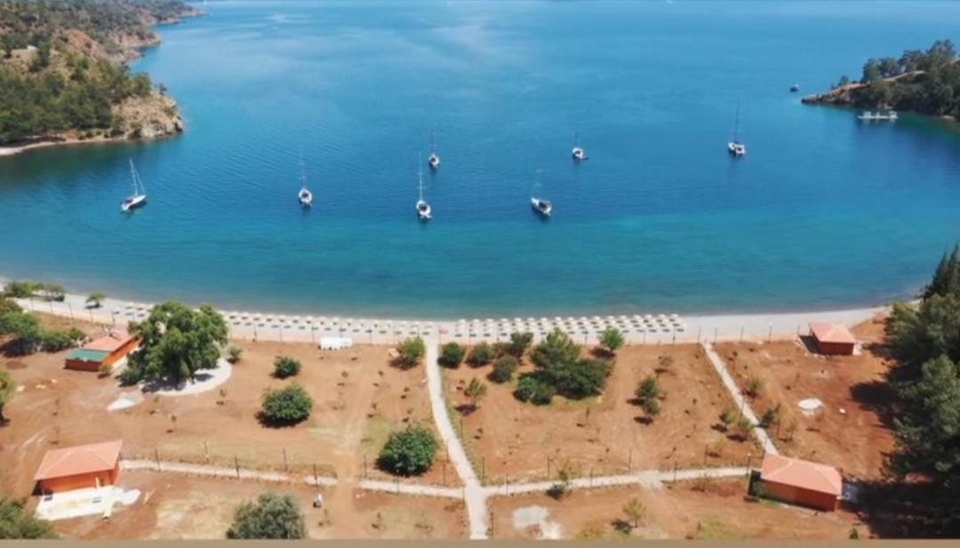 Ceylanhouse-3 Apartman Dalaman Kültér fotó